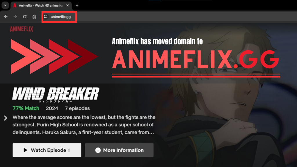 Animeflix.gg